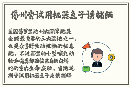 病勤楼栋动画免费樱花